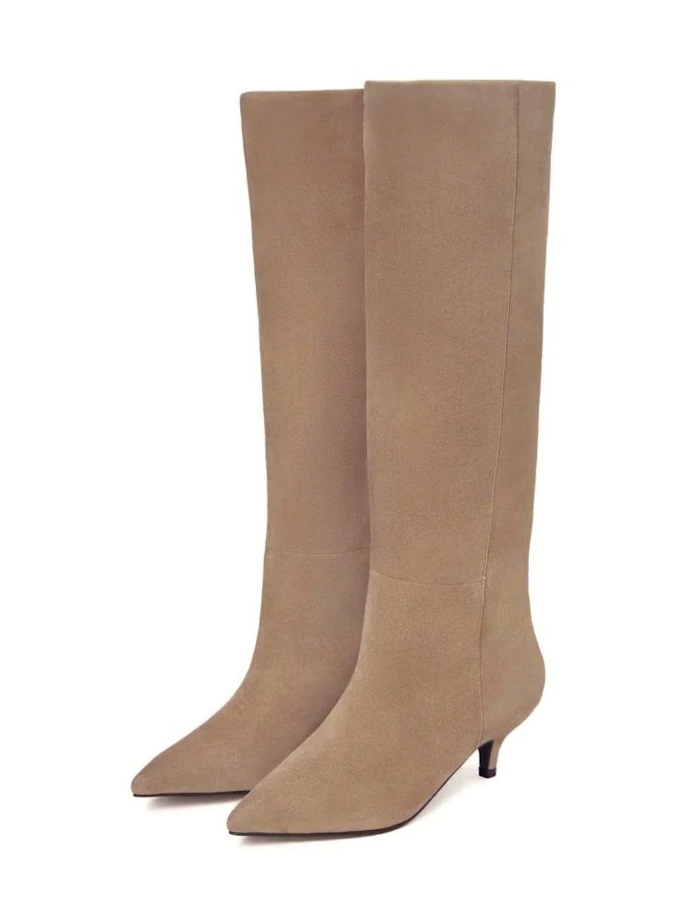 Modaltope Tall Pointed-Toe Suede Heeled Boots in Taupe